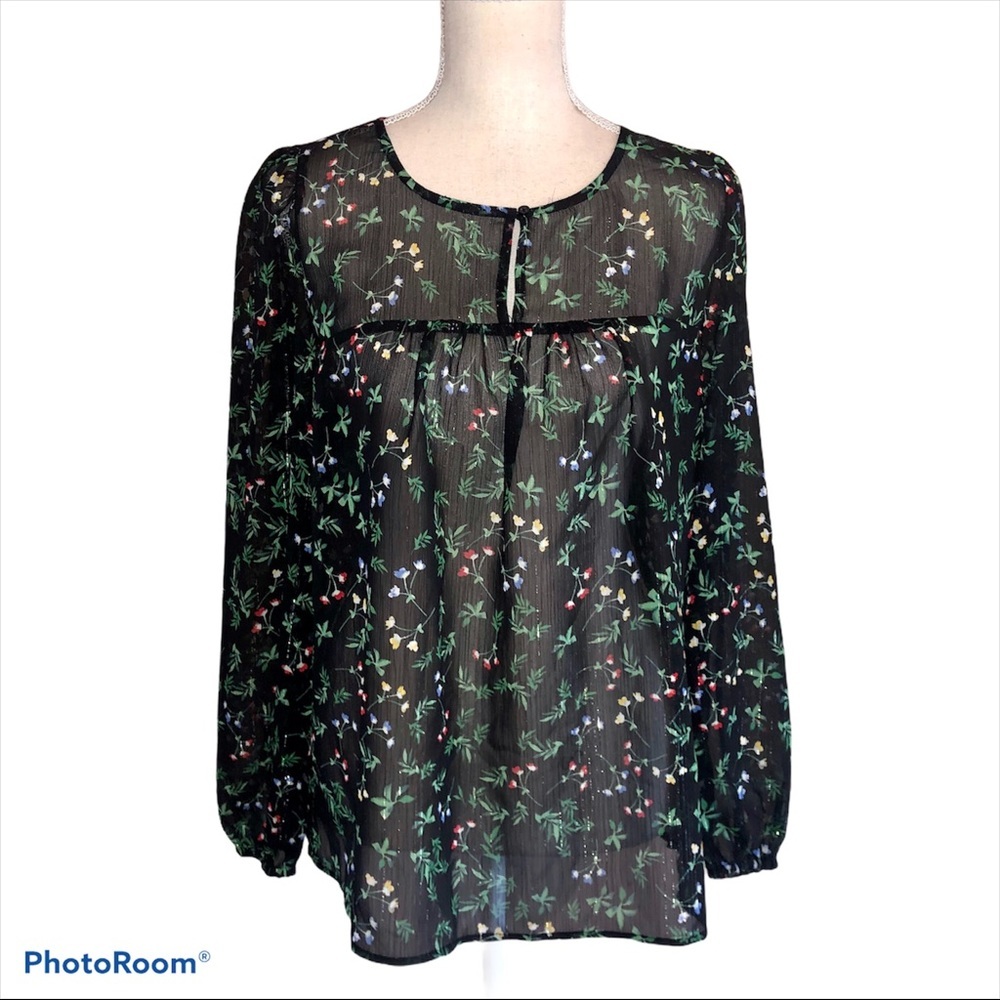Banan Republic Holiday sheer long sleeve blouse